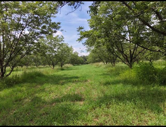 96HA FARM FOR SALE IN HEKPOORT